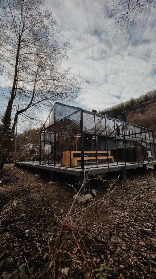 Cabana Sapte Breaza (Brasov) Exterior foto