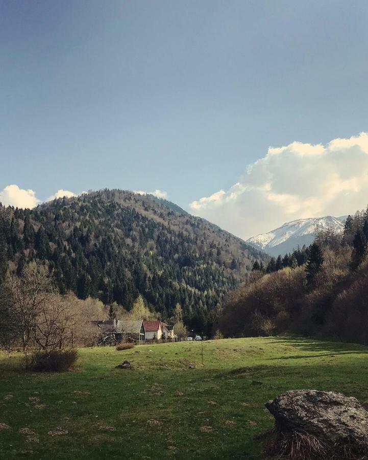 Cabana Sapte Breaza (Brasov) Exterior foto